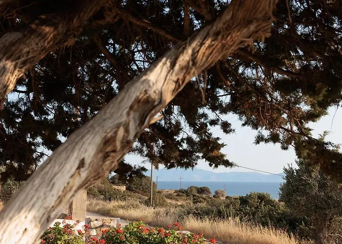 Aurea Blu 03, Pure Nature, Quiet, Sun,