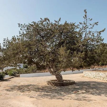 Aurea Blu 03, Pure Nature, Quiet, Sun, アパート